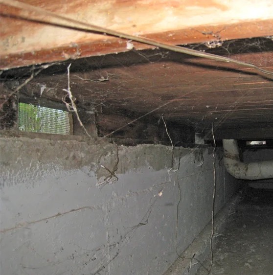 Crawl Space Water Damage Repair in Princeton, TX