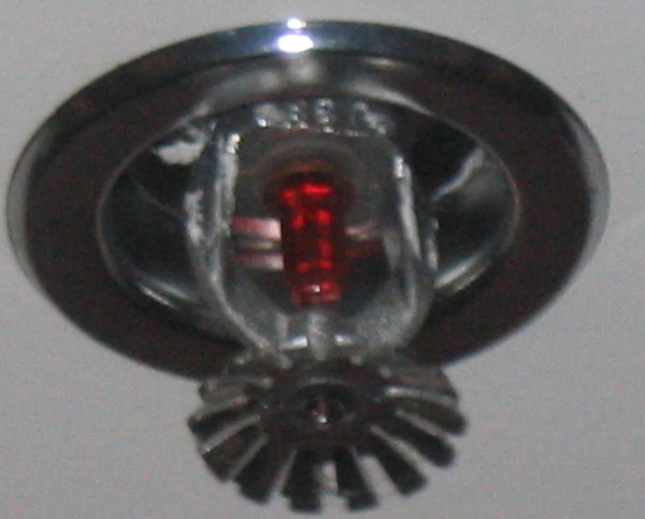 Fire Sprinkler Discharge Water Removal in Duncanville, TX