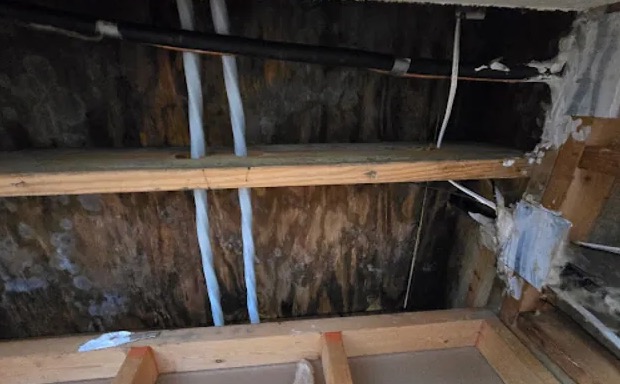 Roof Leak Water Removal in Princeton, TX