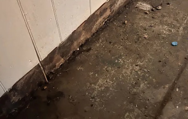 Black Water Extraction (Category 3) in Royse City, TX