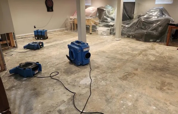 Temperature-Controlled Drying in Waxahachie, TX