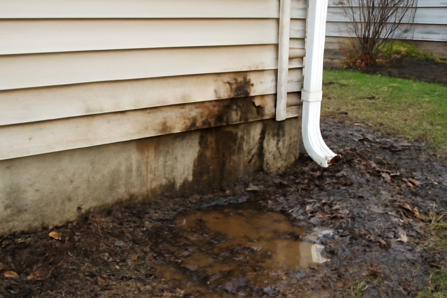 Foundation Leak Water Removal in Coppell, TX